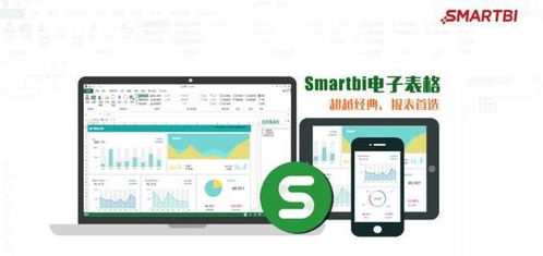 SmartBI助力常德企業(yè)實(shí)現(xiàn)報(bào)表統(tǒng)一管理，化繁為簡(jiǎn)提升決策效率